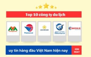 Top 10 Công Ty Du Lịch Hàng Đầu Việt Nam Mới Nhất Hiện Nay - LiberC